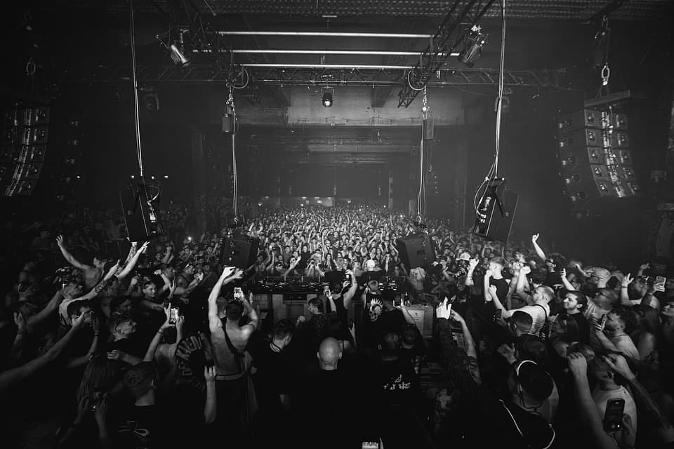 XXL WHP 2025 - Image 2