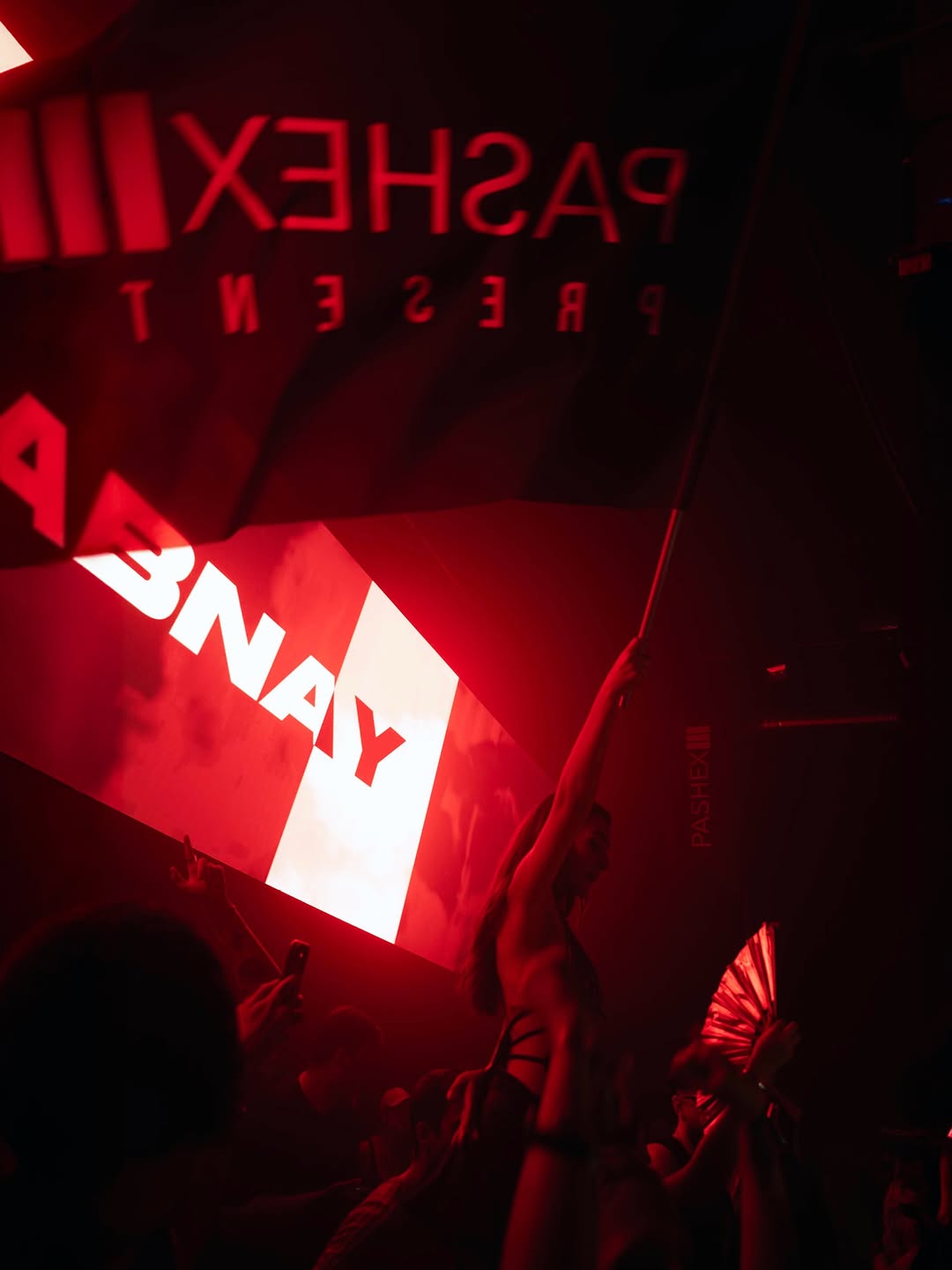 DYEN x SNTS x Cassie Raptor | Pashex Technoabteil event poster