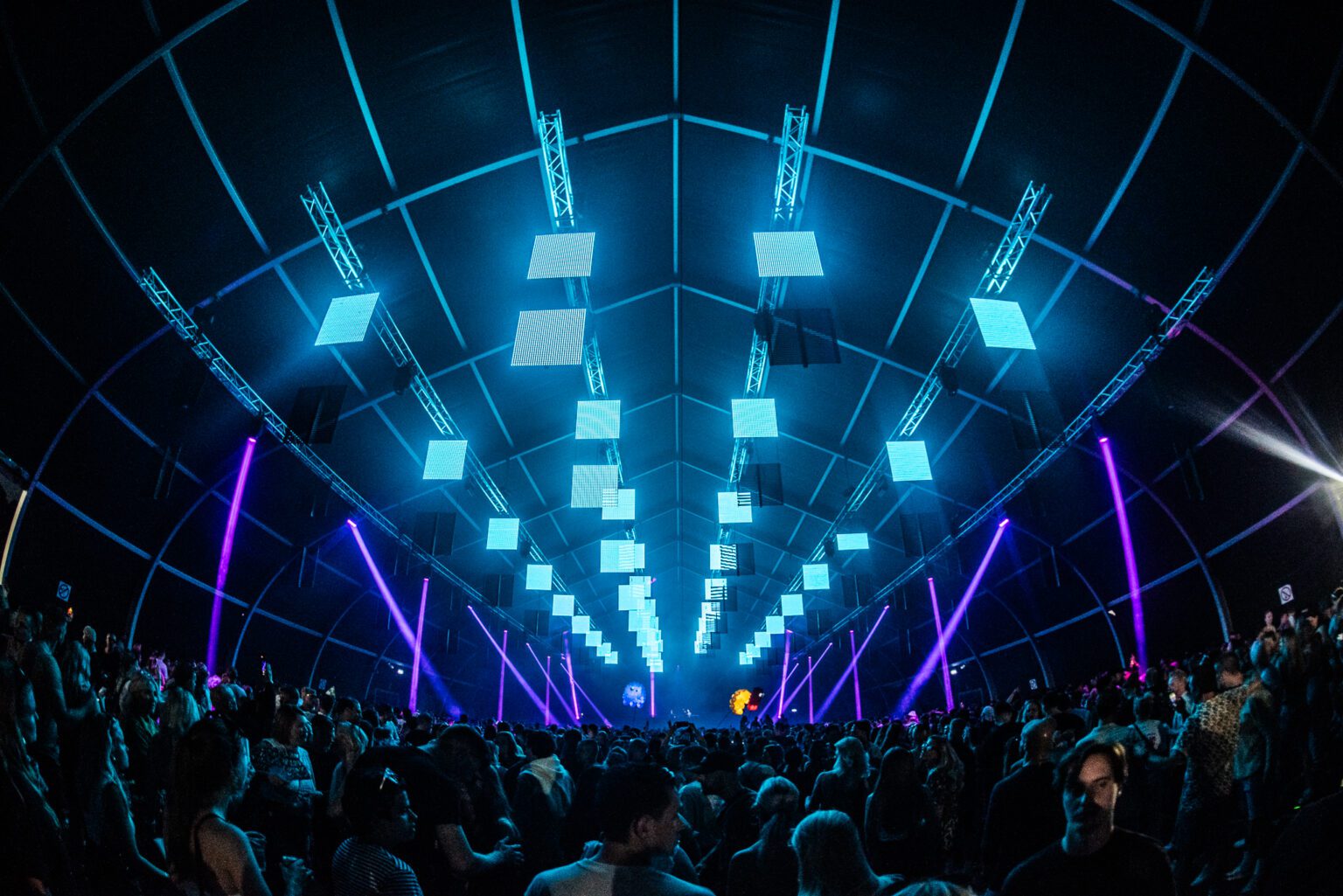 Free Your Mind Festival Groningen cover image